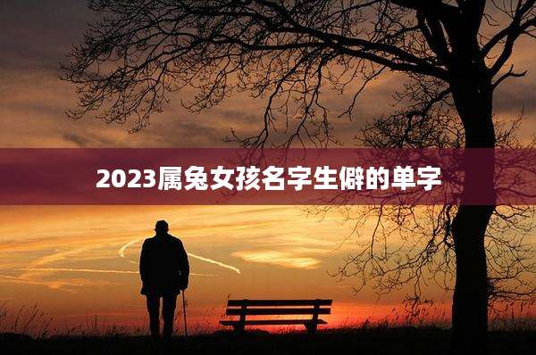 2023属兔女孩名字生僻的单字