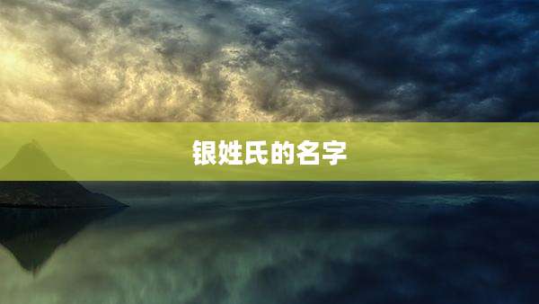 银姓氏的名字