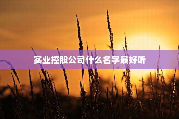实业控股公司什么名字最好听