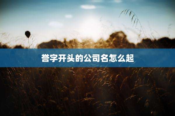 誉字开头的公司名怎么起