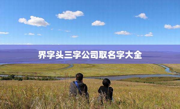 界字头三字公司取名字大全