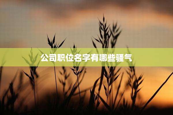 公司职位名字有哪些骚气