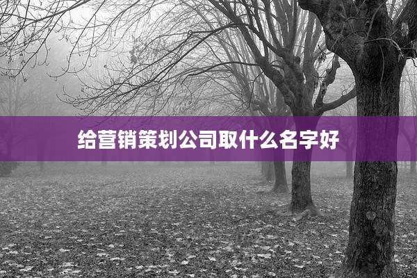 给营销策划公司取什么名字好