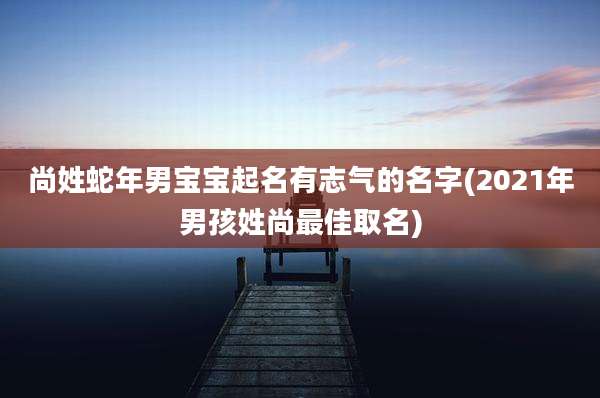 尚姓蛇年男宝宝起名有志气的名字(2021年男孩姓尚最佳取名)