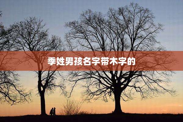 季姓男孩名字带木字的