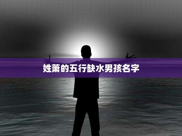 姓萧的五行缺水男孩名字
