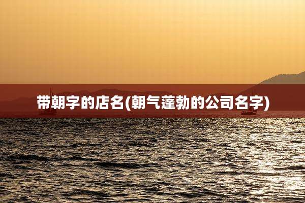 带朝字的店名(朝气蓬勃的公司名字)