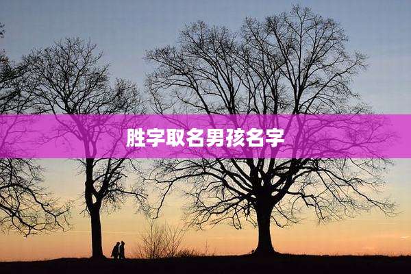 胜字取名男孩名字
