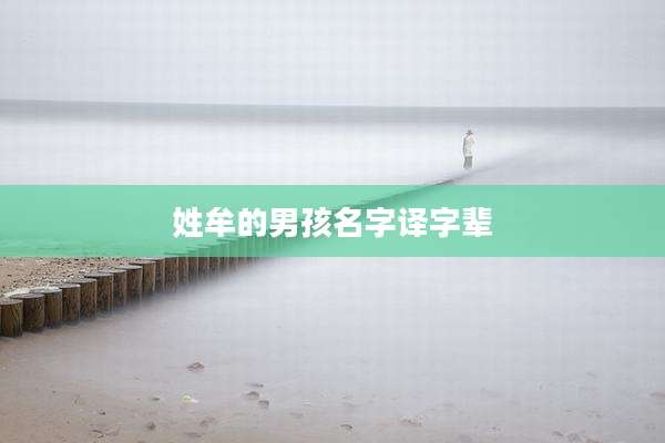 姓牟的男孩名字译字辈