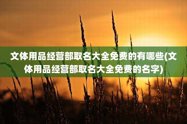 文体用品经营部取名大全免费的有哪些(文体用品经营部取名大全免费的名字)