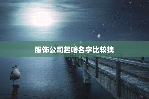 服饰公司起啥名字比较拽