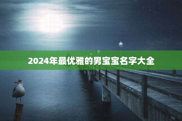 2024年最优雅的男宝宝名字大全