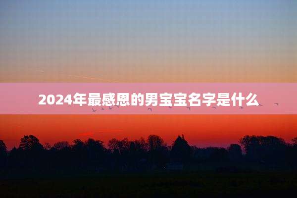 2024年最感恩的男宝宝名字是什么