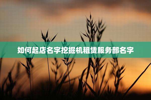 如何起店名字挖掘机租赁服务部名字