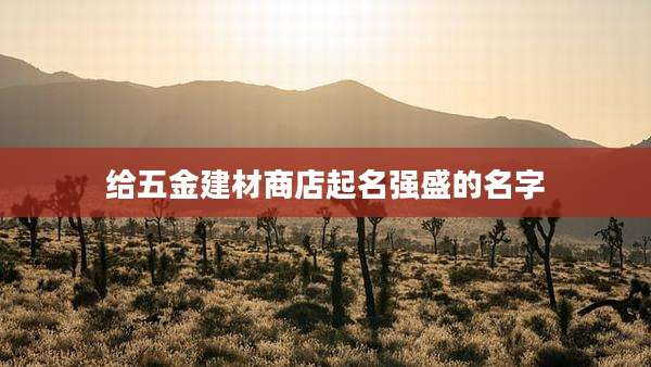 给五金建材商店起名强盛的名字