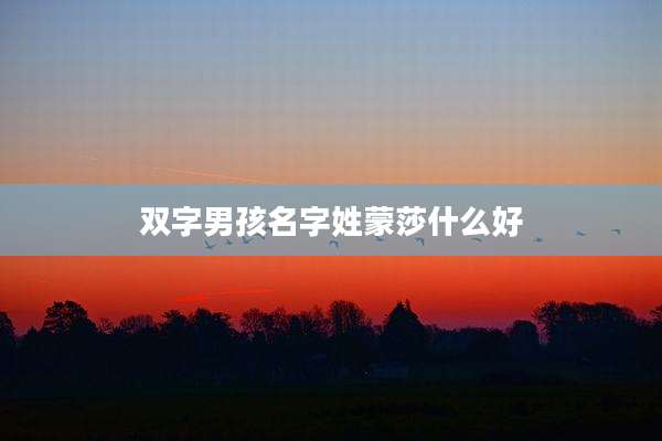 双字男孩名字姓蒙莎什么好