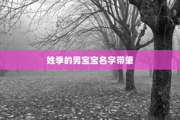 姓季的男宝宝名字带肇