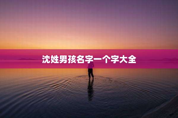 沈姓男孩名字一个字大全