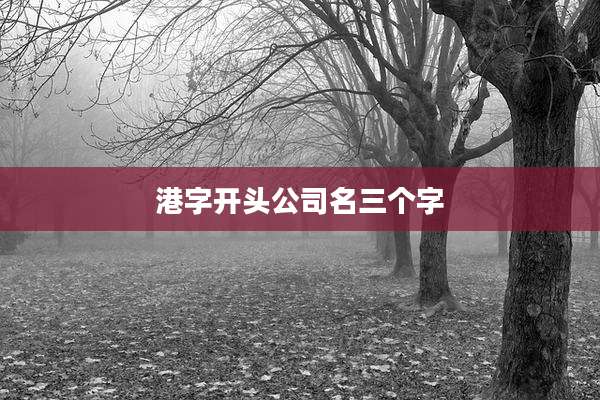 港字开头公司名三个字