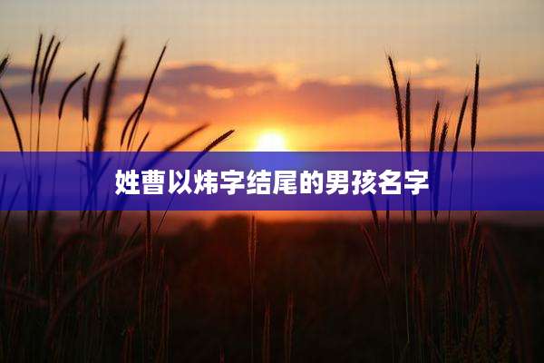 姓曹以炜字结尾的男孩名字