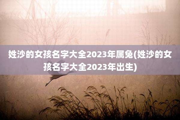 姓沙的女孩名字大全2023年属兔(姓沙的女孩名字大全2023年出生)
