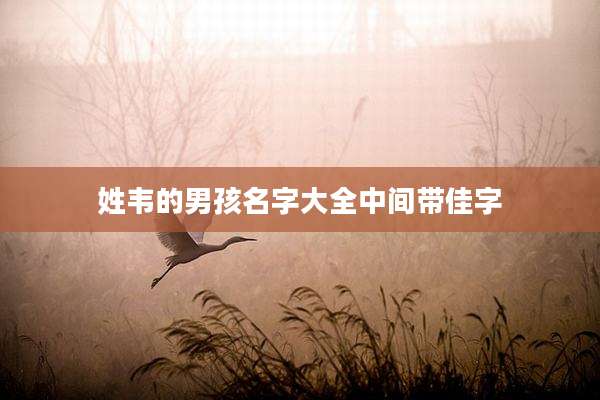 姓韦的男孩名字大全中间带佳字