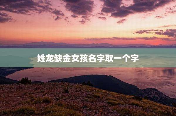 姓龙缺金女孩名字取一个字