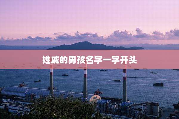 姓戚的男孩名字一字开头