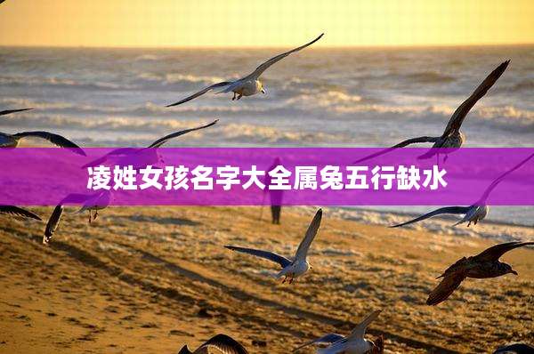 凌姓女孩名字大全属兔五行缺水