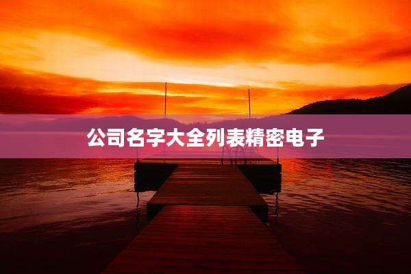 公司名字大全列表精密电子