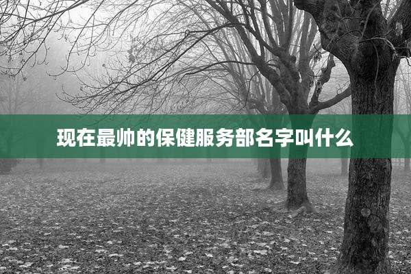 现在最帅的保健服务部名字叫什么