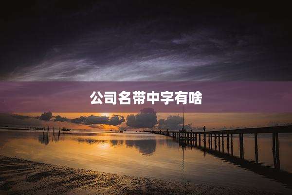 公司名带中字有啥