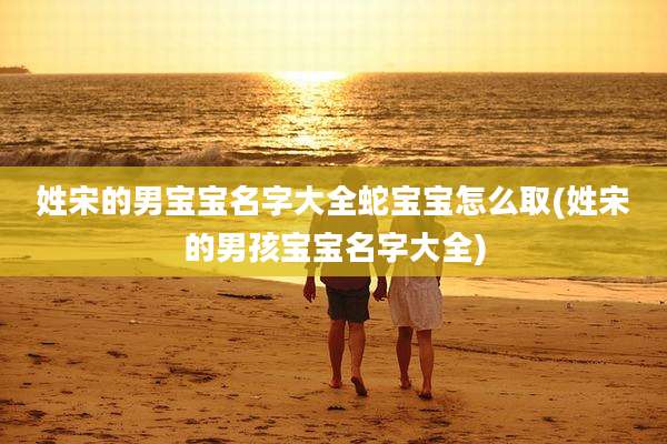 姓宋的男宝宝名字大全蛇宝宝怎么取(姓宋的男孩宝宝名字大全)