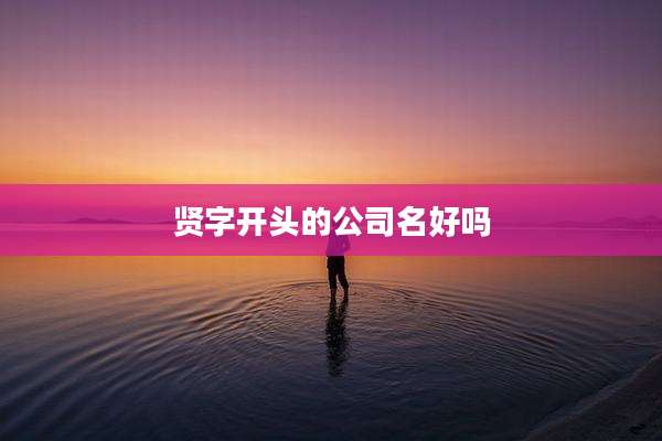 贤字开头的公司名好吗