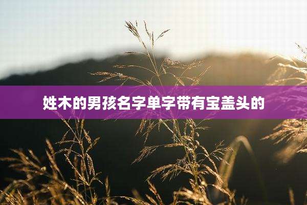 姓木的男孩名字单字带有宝盖头的