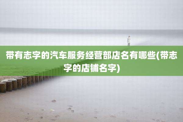 带有志字的汽车服务经营部店名有哪些(带志字的店铺名字)