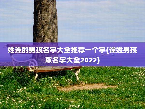 姓谭的男孩名字大全推荐一个字(谭姓男孩取名字大全2022)