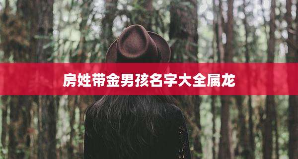 房姓带金男孩名字大全属龙