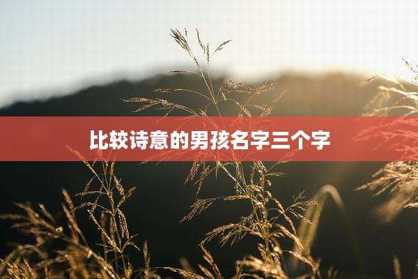 比较诗意的男孩名字三个字