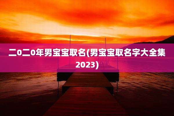 二0二0年男宝宝取名(男宝宝取名字大全集2023)