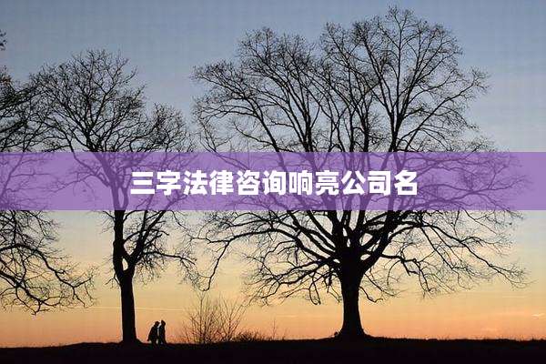三字法律咨询响亮公司名