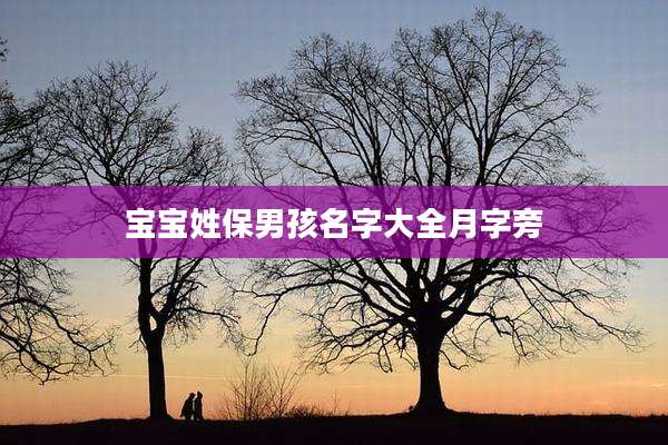 宝宝姓保男孩名字大全月字旁