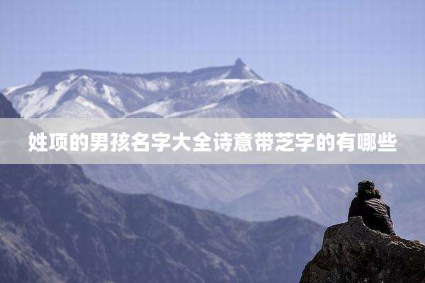姓项的男孩名字大全诗意带芝字的有哪些