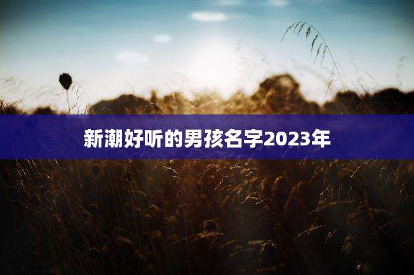 新潮好听的男孩名字2023年