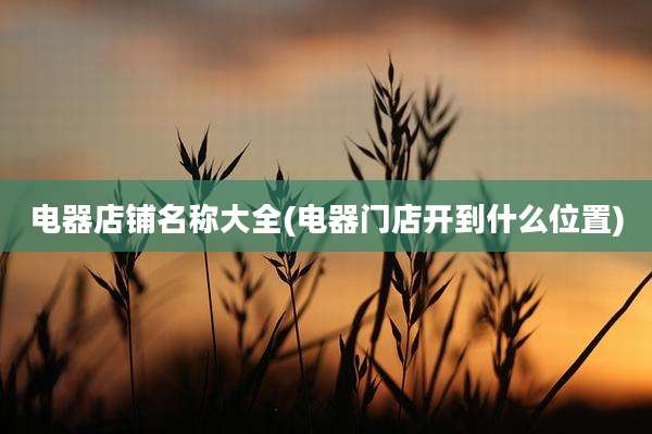 电器店铺名称大全(电器门店开到什么位置)