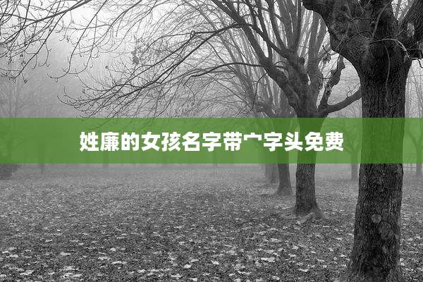 姓廉的女孩名字带宀字头免费