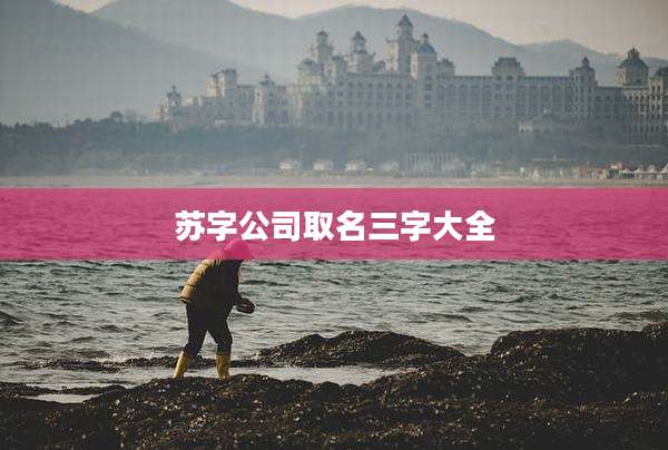 苏字公司取名三字大全