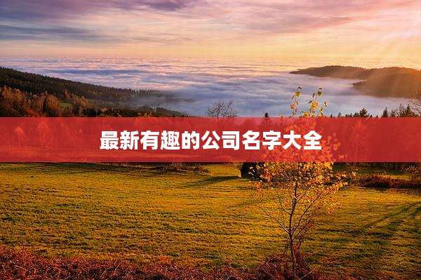最新有趣的公司名字大全