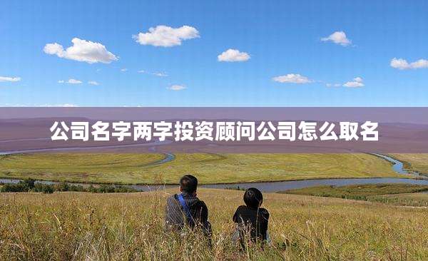 公司名字两字投资顾问公司怎么取名