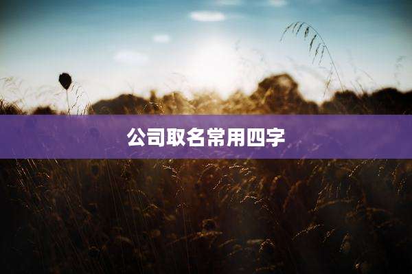 公司取名常用四字